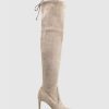 Edward Meller Gabor Thigh High Stretch Boot In Dust Suede Wholesale