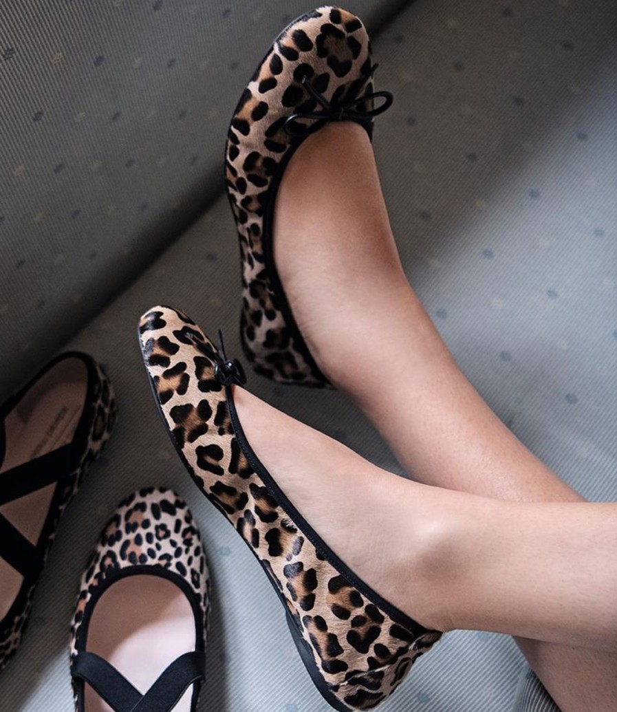 Edward Meller Esme Classic Soft Ballet In Leopard Wholesale